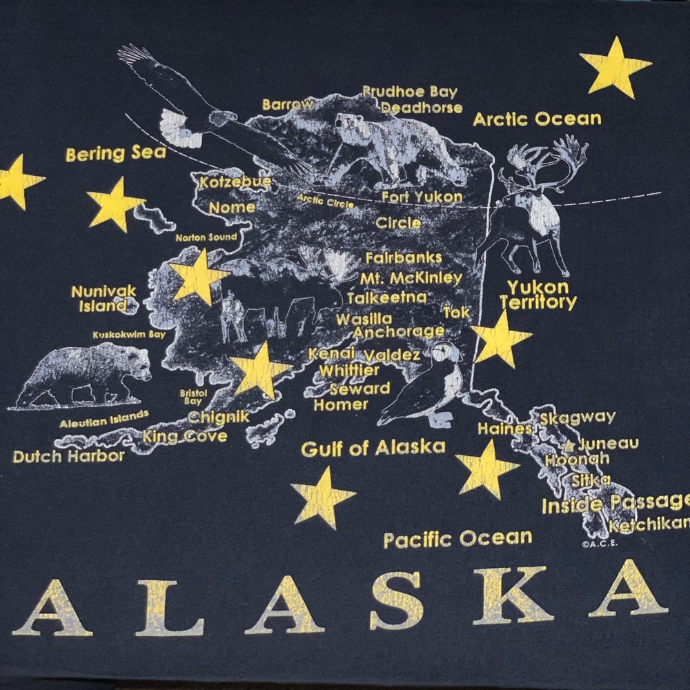 Vintage Alaska Cities | Size XXL | perfectly Worn